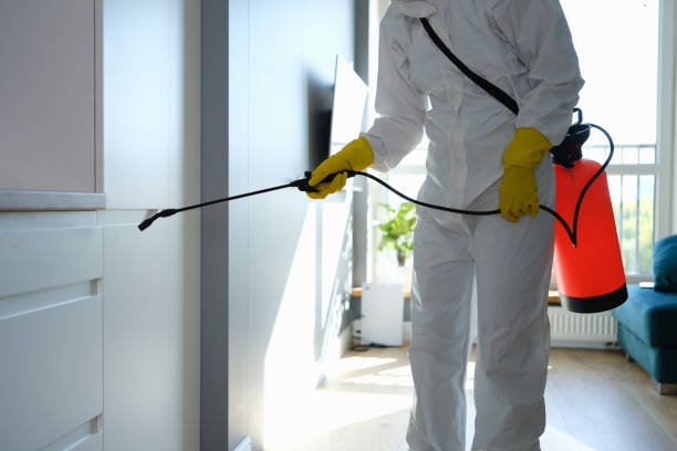 Best Bathroom Mold Remediation in University Of Virginia, VA