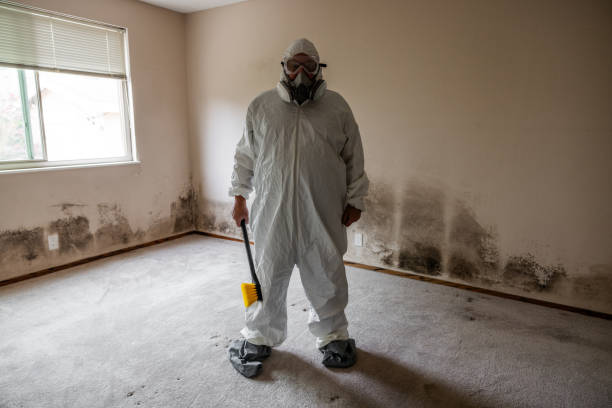 Best Preventive Mold Services in University Of Virginia, VA